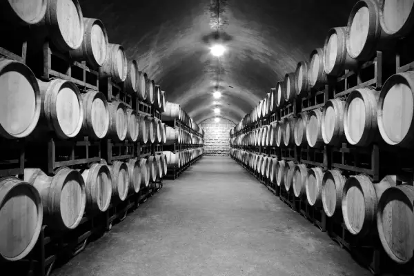 Wine cellar with rows of wooden barrels on racks, extending into the distance on both sides.